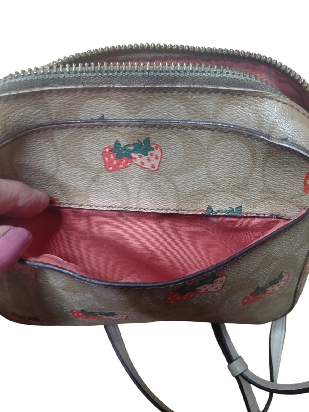 Coach Jaimie Mini Camera Bag Tan Crossbody Bag with Wild Strawberry Design